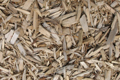 biomass boilers Tillyloss